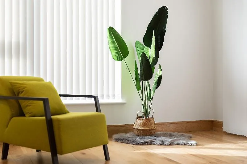 Fusion Apartments London United Kingdom